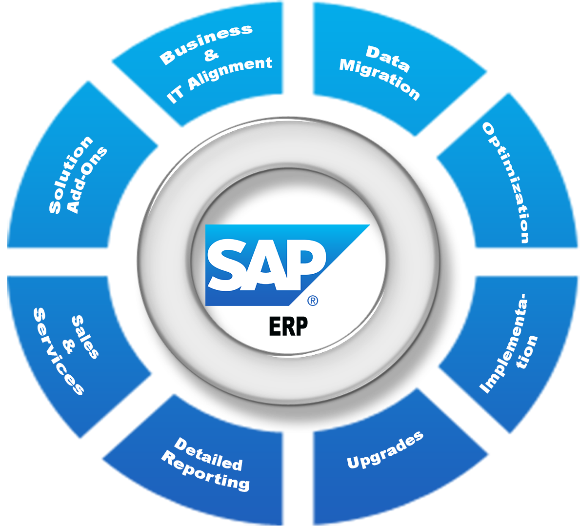 SAP Consultant for Oil and Gas Projects