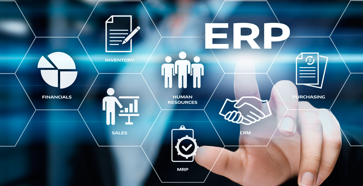 ERP program planning consultation and implementation