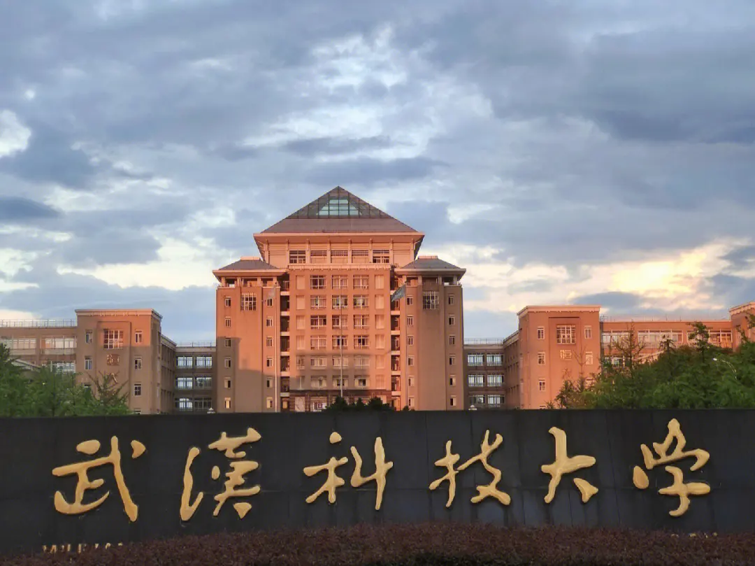 武汉科技大学