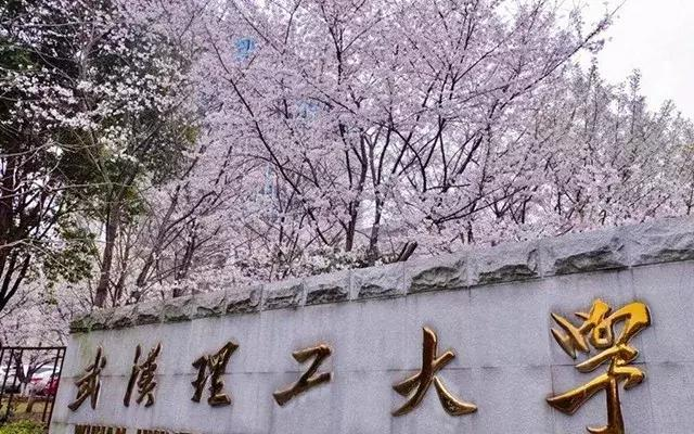 武汉理工大学