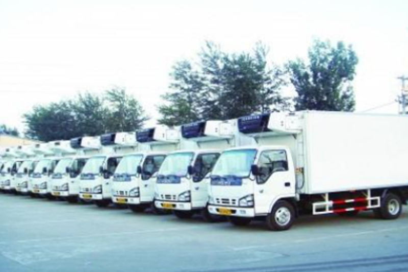 Food Distribution