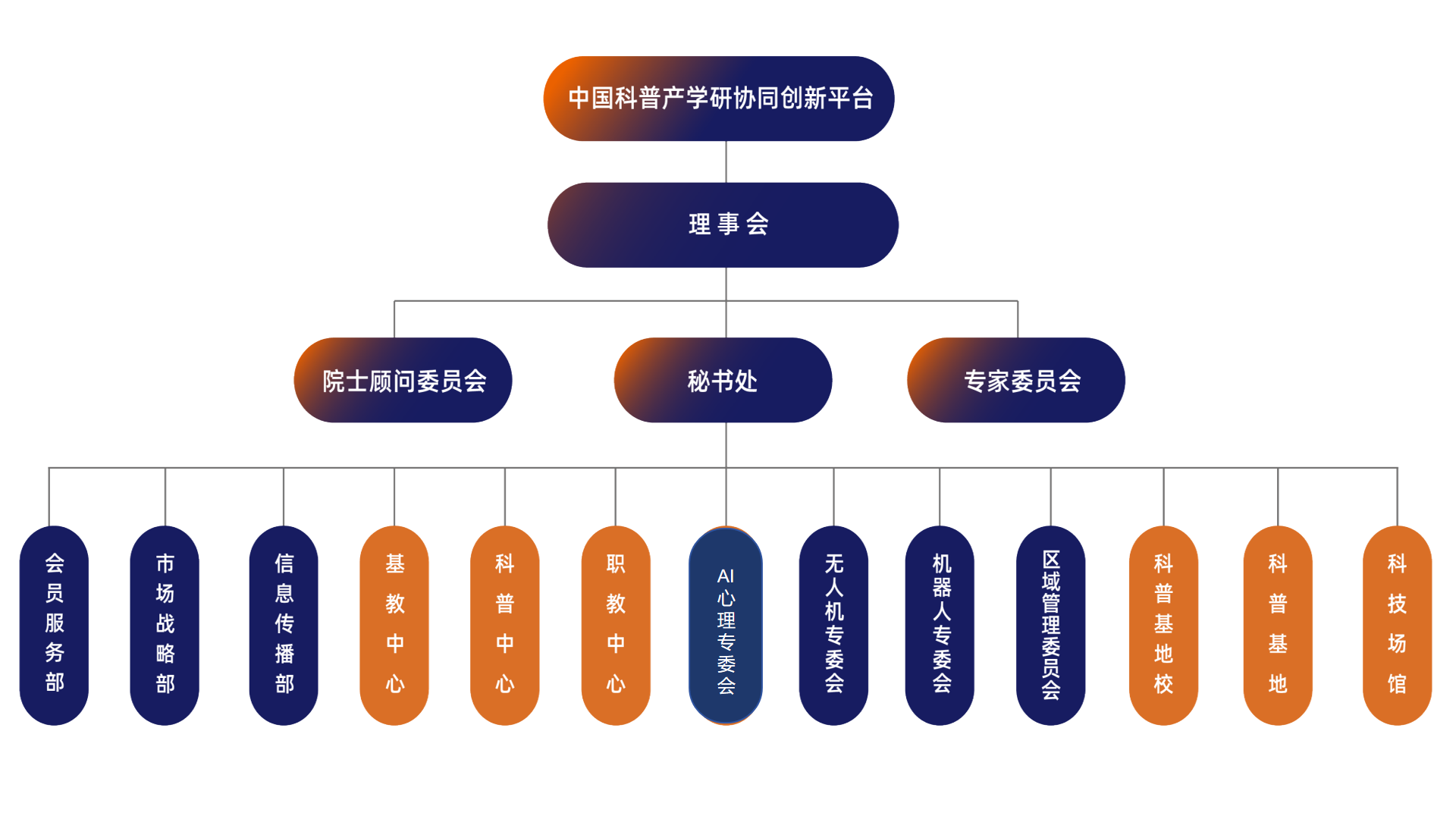 描述