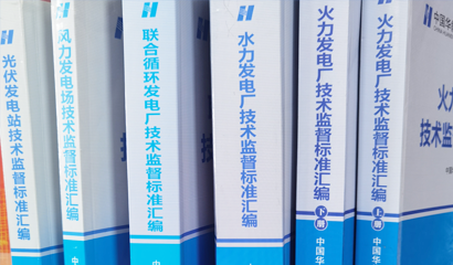 对集团公司、电厂的管理标准进行分解引用，自定义班组行为规范等班组内部标准制度，形成各个班组的标准库，实现班组管理统一化、标准化、制度化