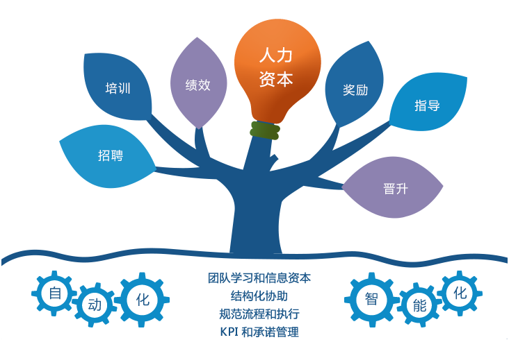 人力资源管理设计与定制