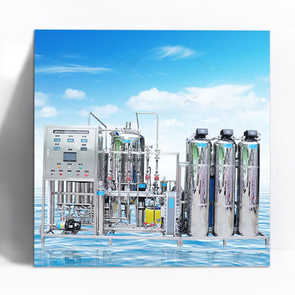 500L/HEDI Ultra pure water equipment