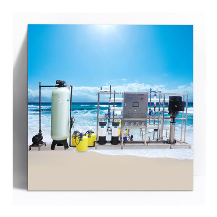 1000L/H Seawater desalination equipment