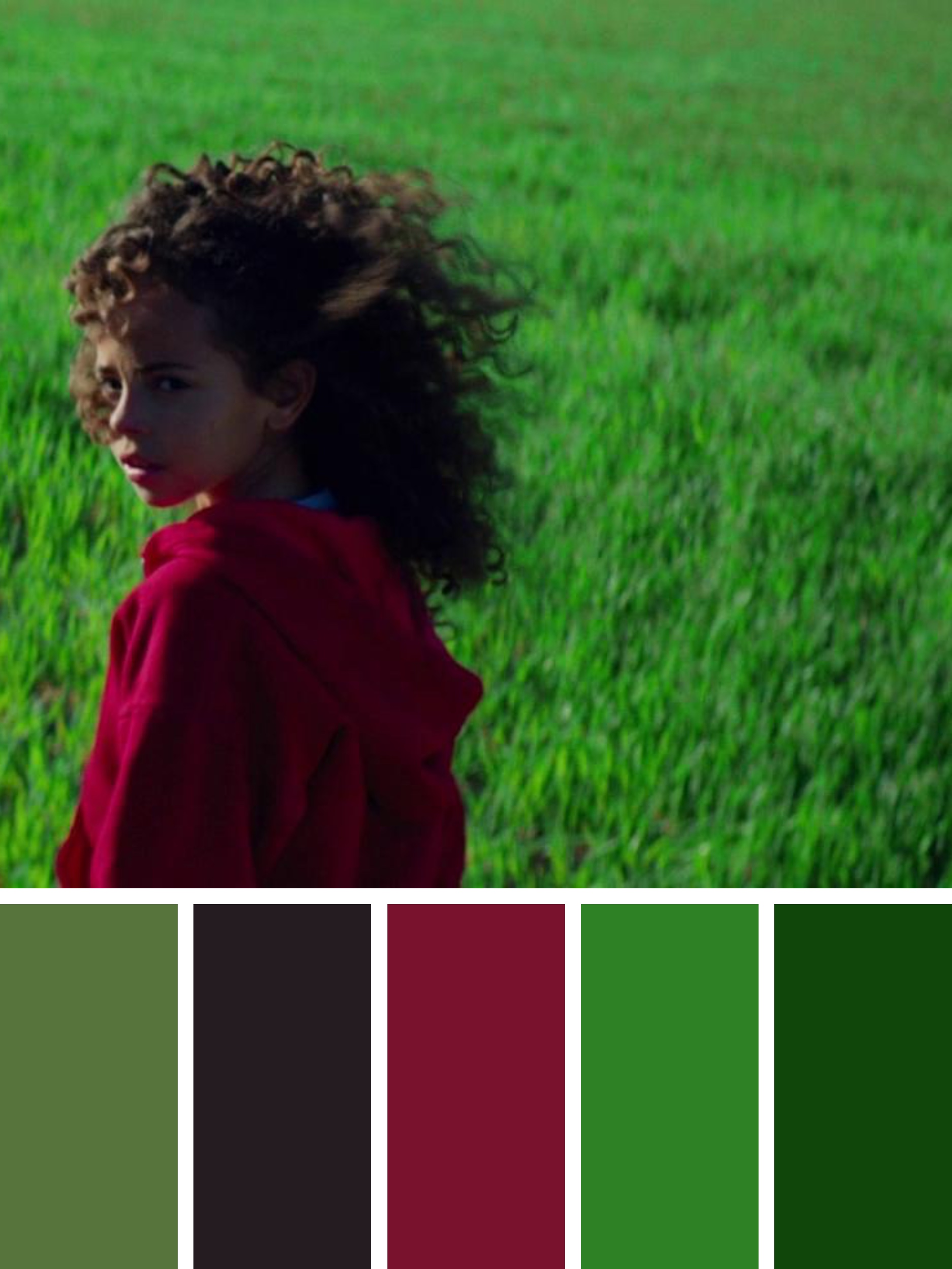 Fast_Color_058_20231019_16976500371879960