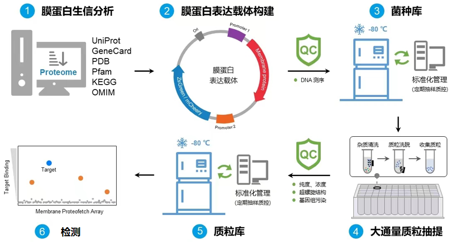 国产化之人质膜蛋白阵列技术