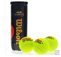威尔胜Wilson WRT106200 美网比赛训练网球 塑罐3粒