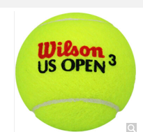 威尔胜Wilson WRT106200 美网比赛训练网球 塑罐3粒
