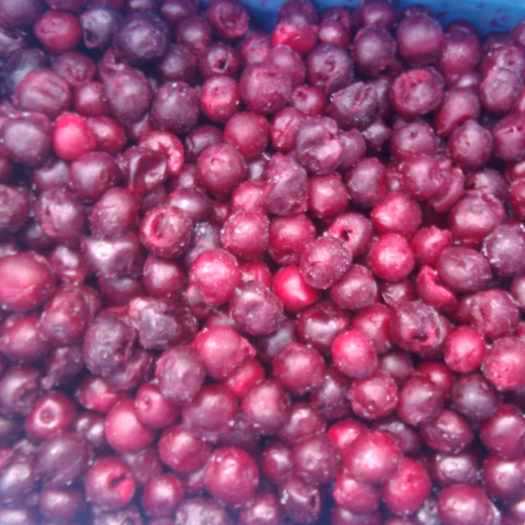 Sour cherry