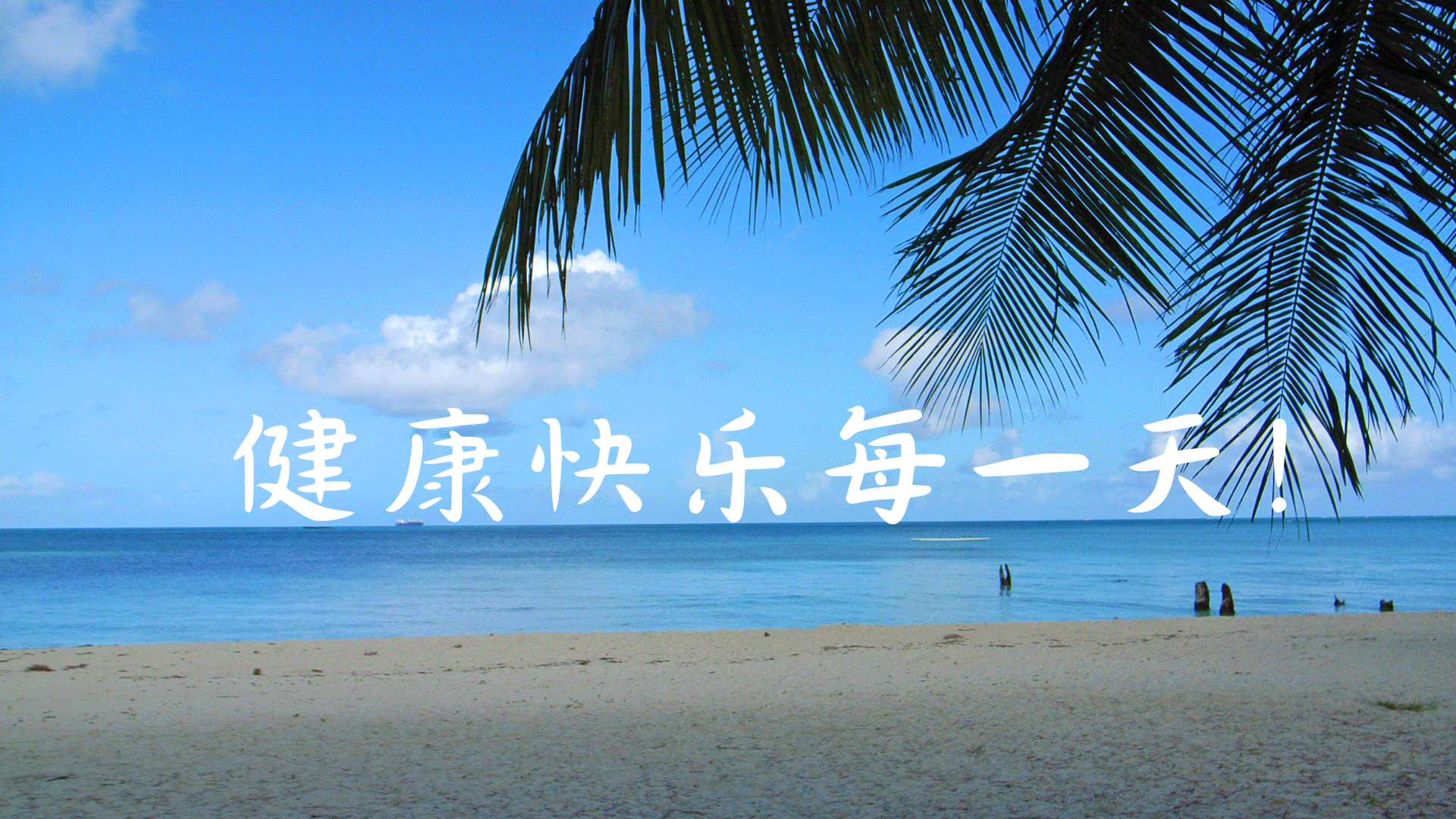 banner1.png2