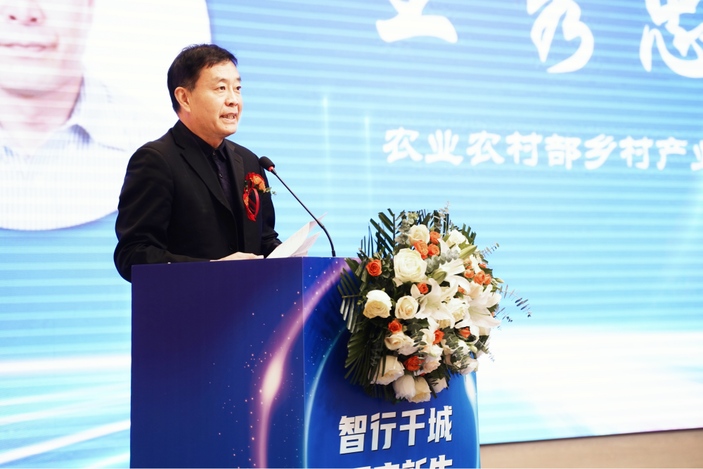 图片6