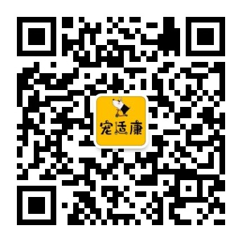宠适康官方网站