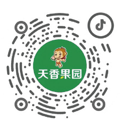描述