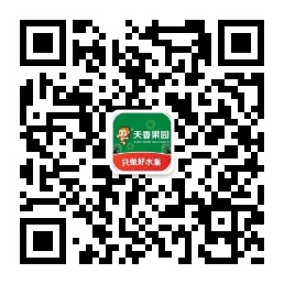 描述