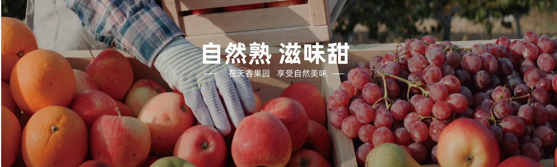 官网-27_20240112_17050375043605080