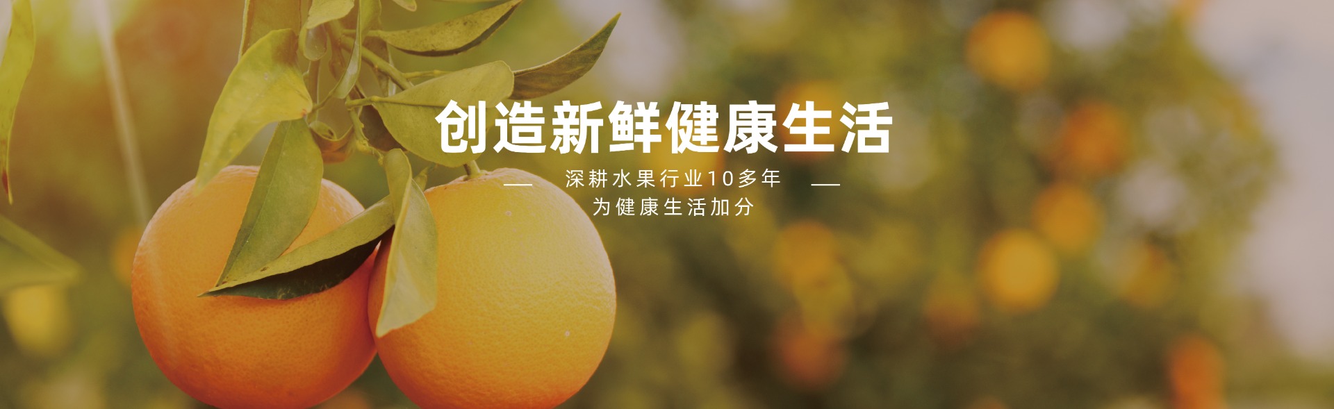 官网-28_20240112_17050375209277830