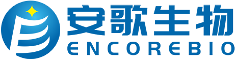 描述