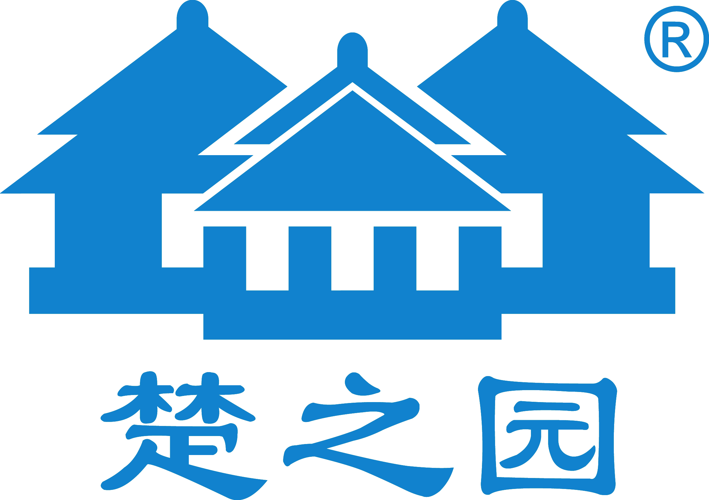 描述