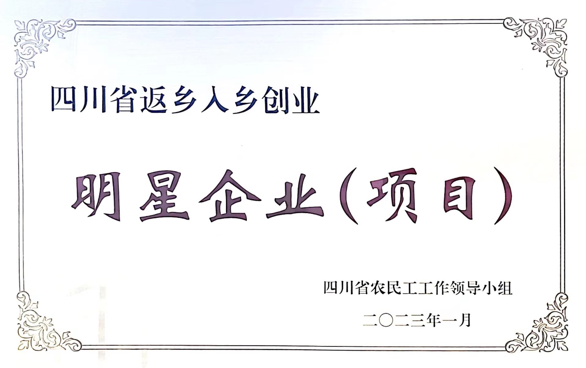 四川省返乡入乡创业明星企业