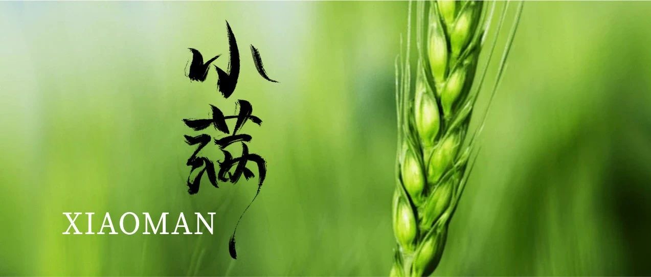 今日【小满】农历四月十三｜星期一