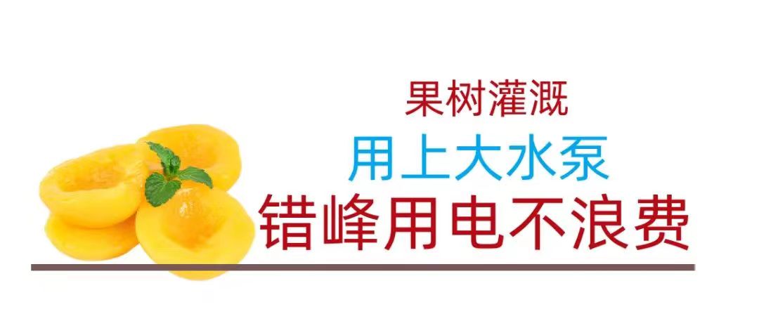 微信圖片_20240403162904