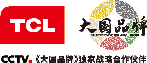 描述