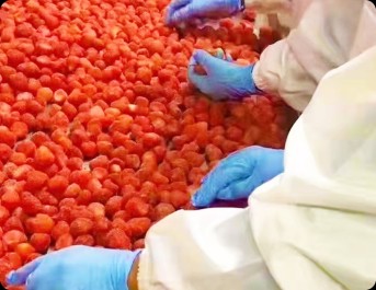 蒙版组 39