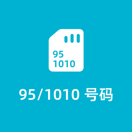 95/1010号码