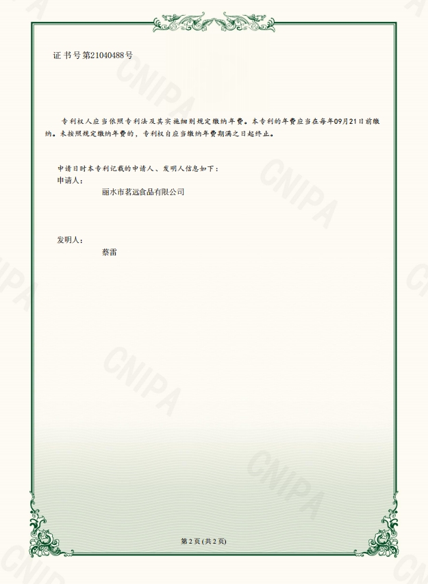 专利2