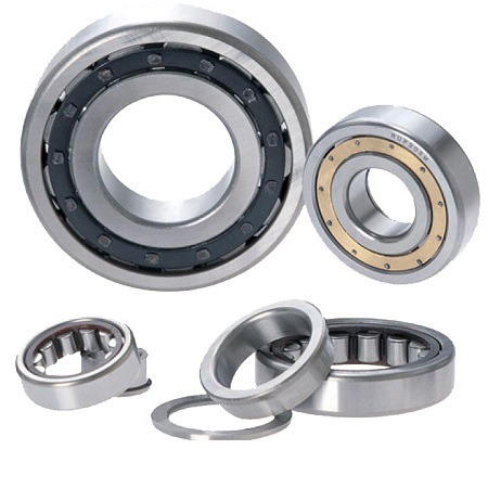 Cylindrical roller bearing