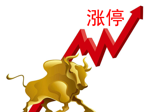 7月15日，巨星农牧重组上市，实现与资本市场的对接，
提升了在行业中的综合竞争力和品牌影响力；
创建“粮进肉出”的巨星智慧养殖园区；
导入BLM战略管理工具，导入从战略到执行DSTE系统。