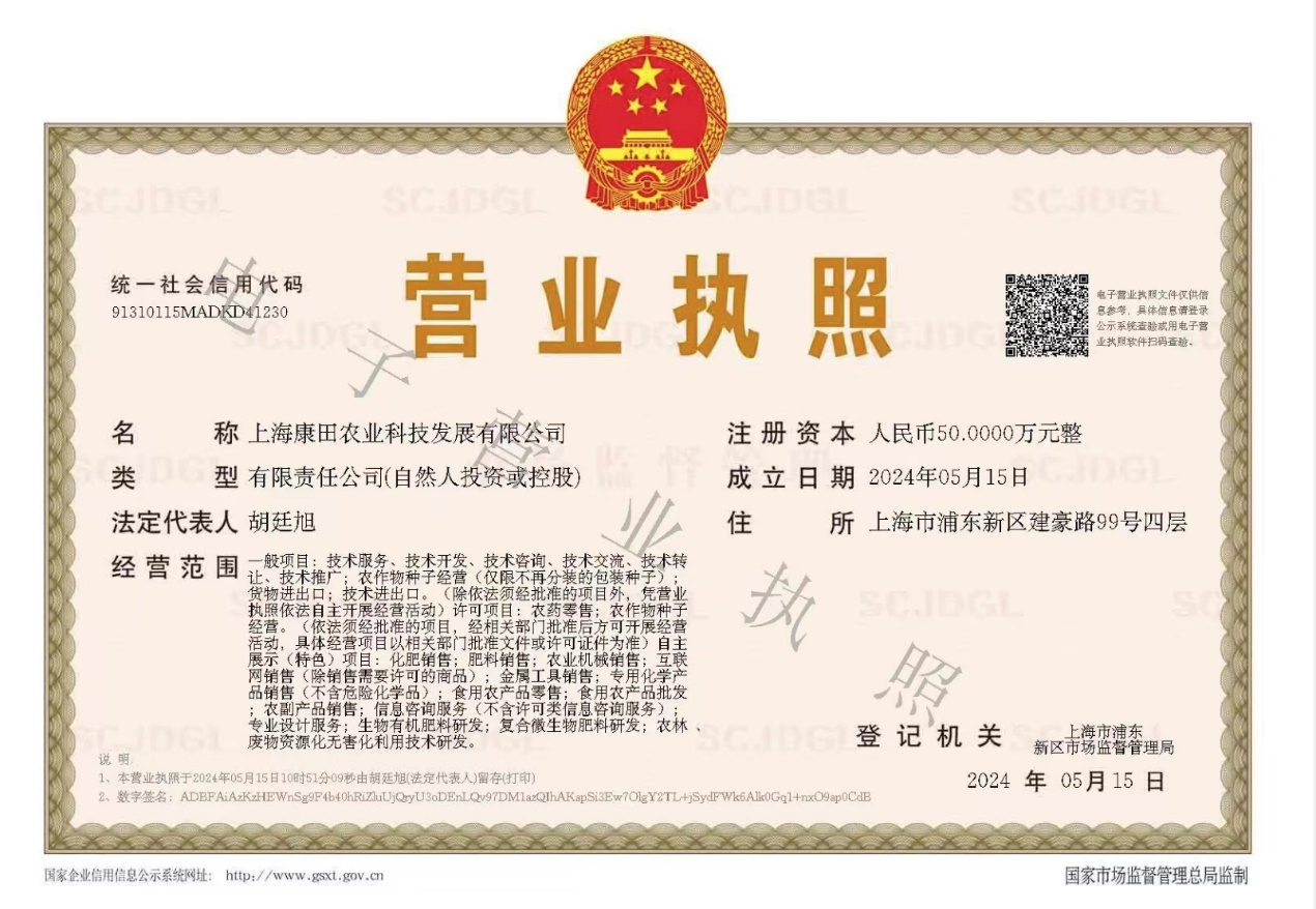 图片5