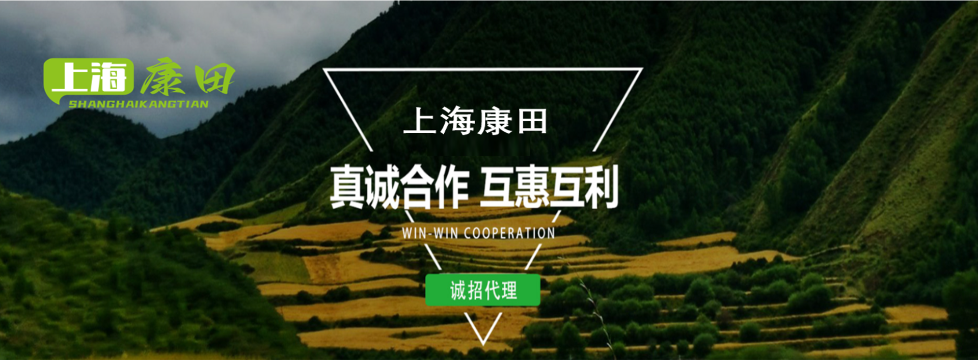图片4_20240819_17240517688767690