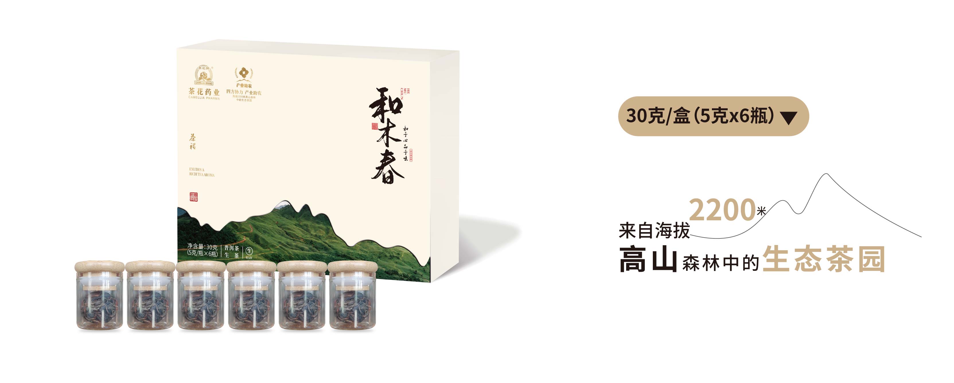 茶花官网首页和木春茶_画板 1 副本 8