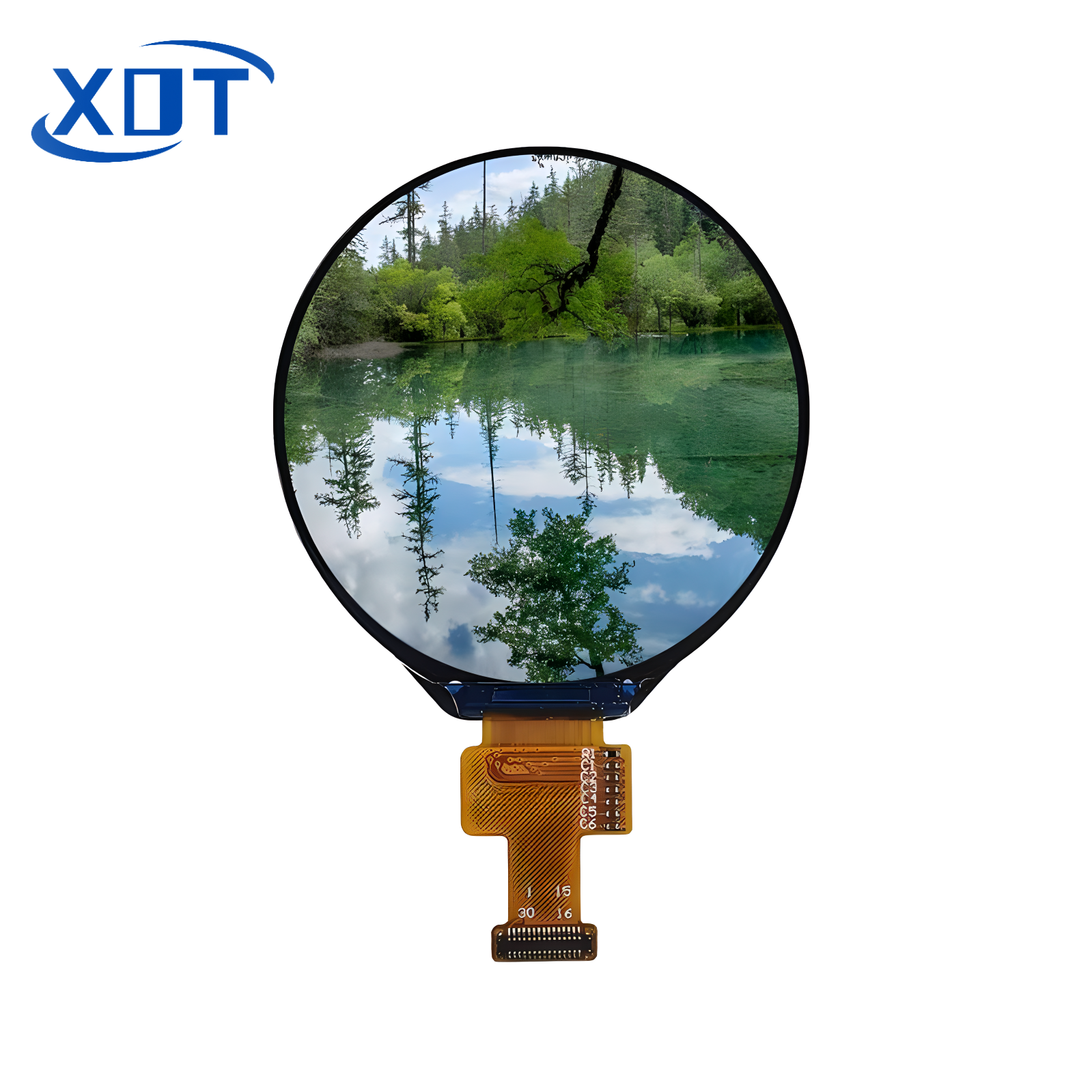 1.6inch XY016IWV8788ANT