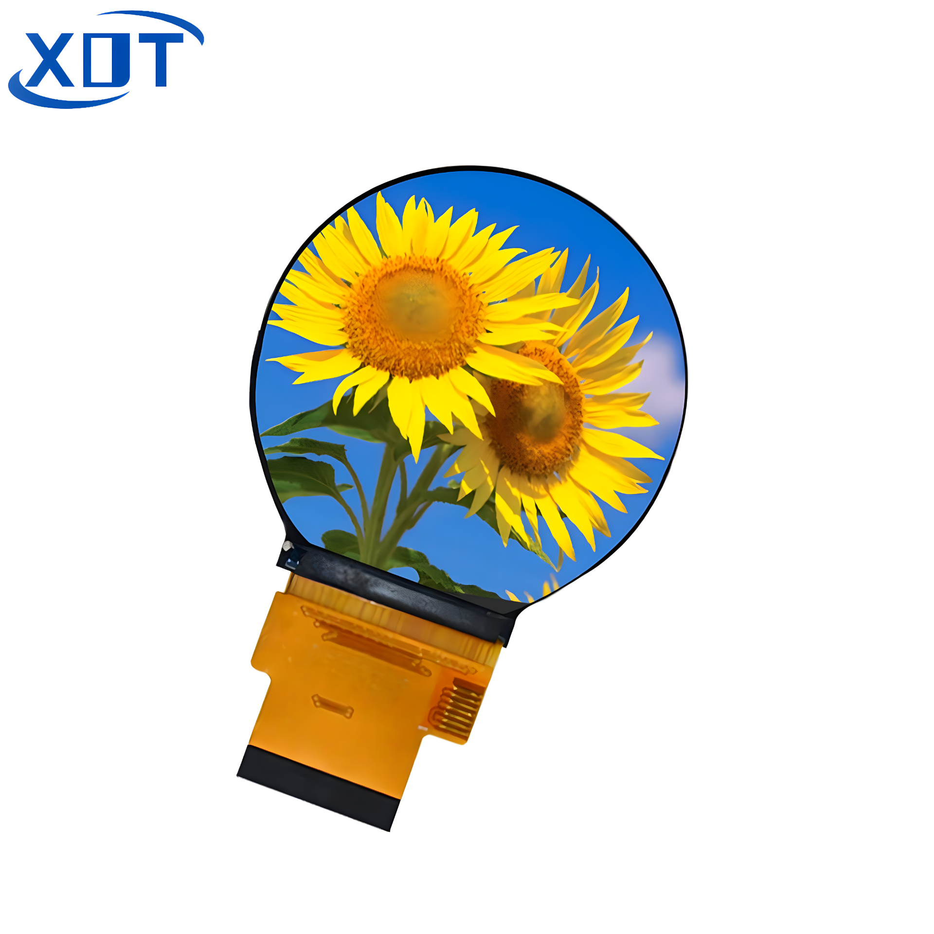 2.1inch XY021BWV6323CNT(RGB)/XY021BWV6324CNT(MIPI)