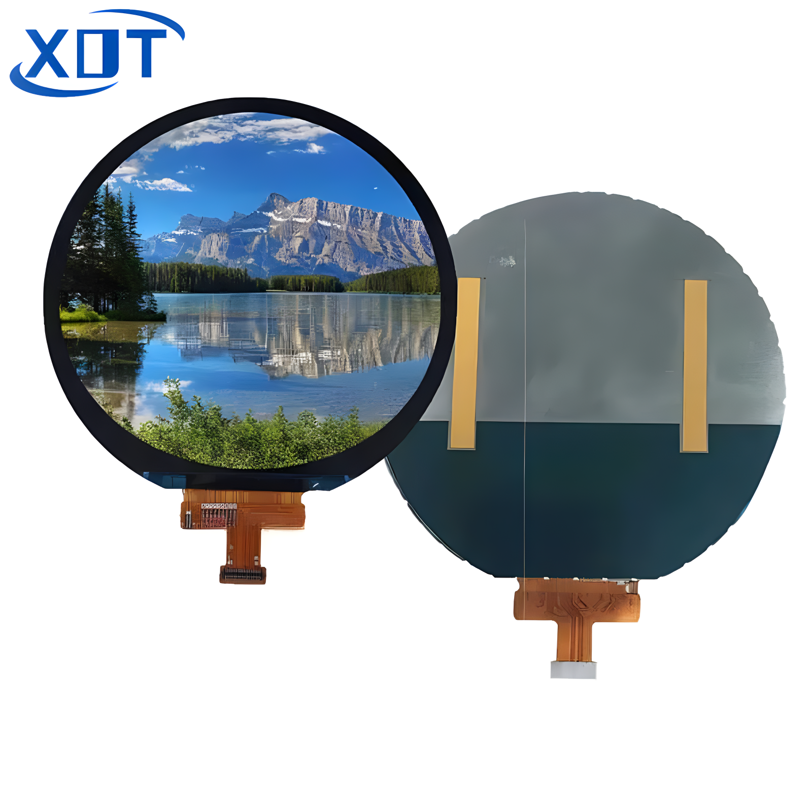 3.6inch XY036BWV8456BNT