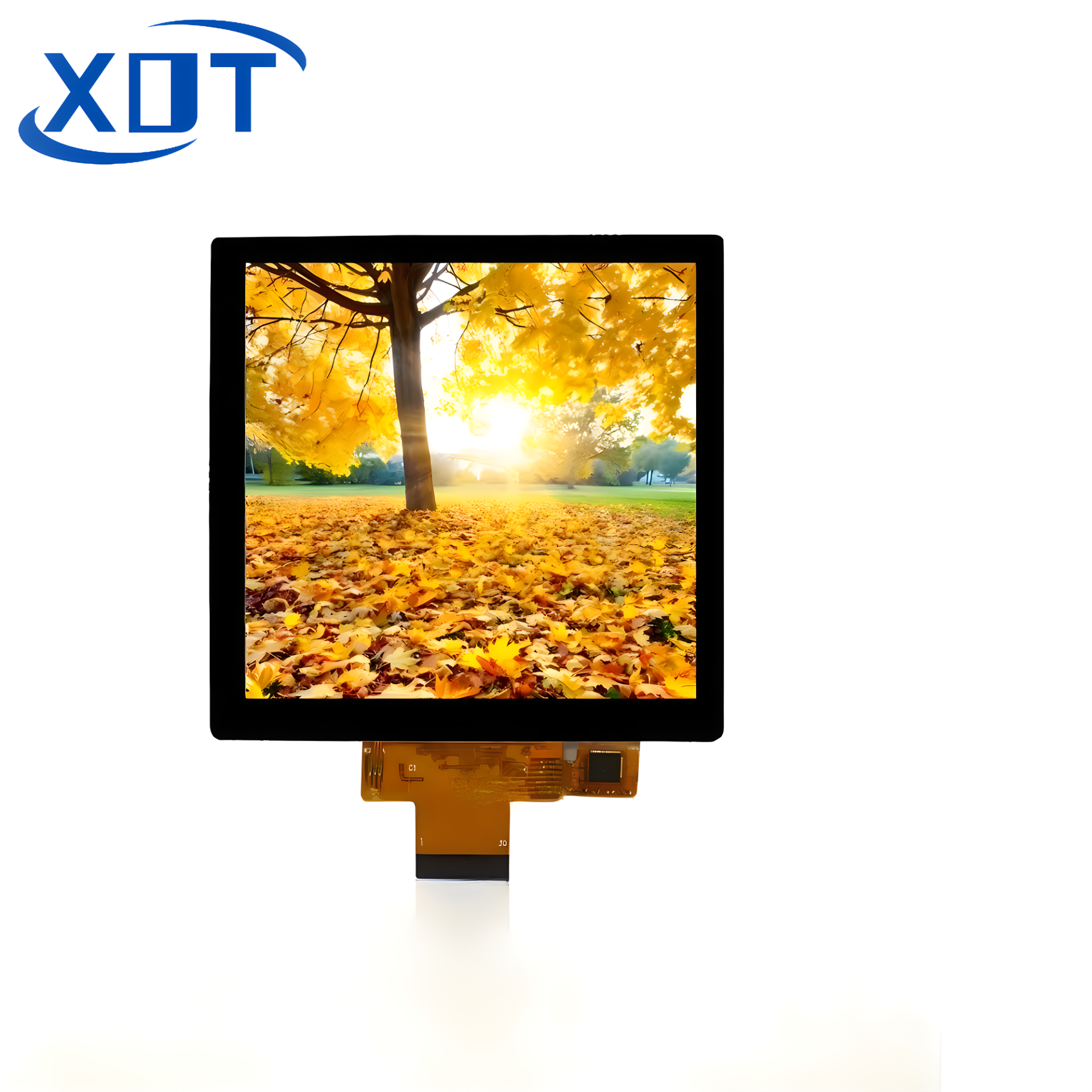 4inch XY040BHD8801ANT-CT(MIPI）