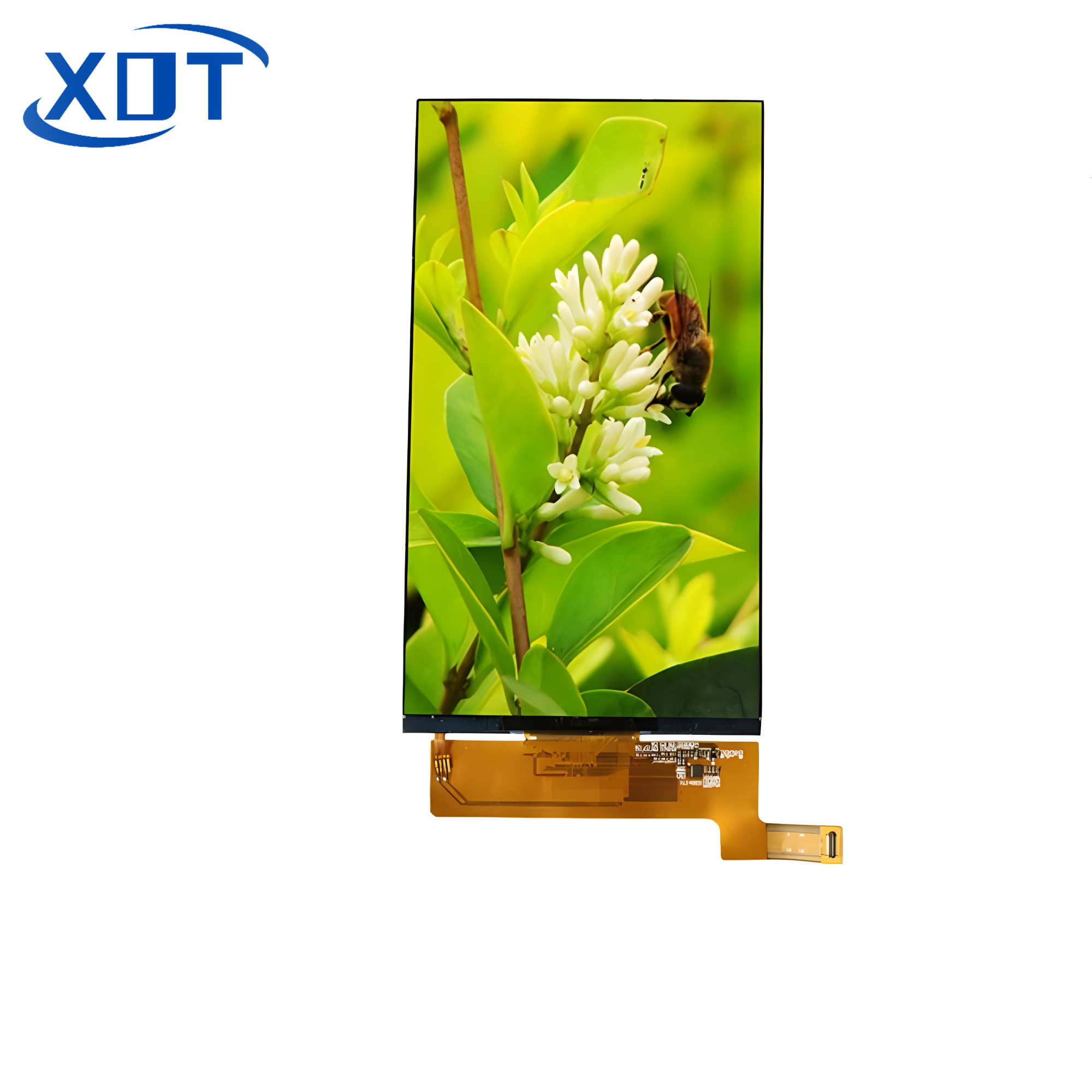 7寸 XY070HDV03-H1018C