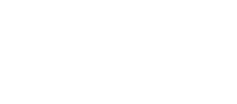 描述