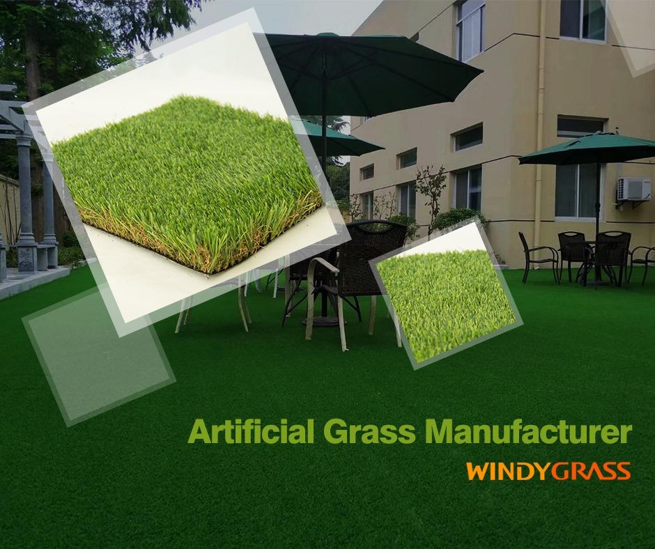 WINDY GRASS Has A New Product