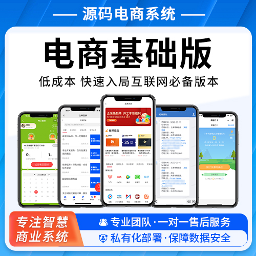 电商基础版 低成本 快速入局互联网必备版本