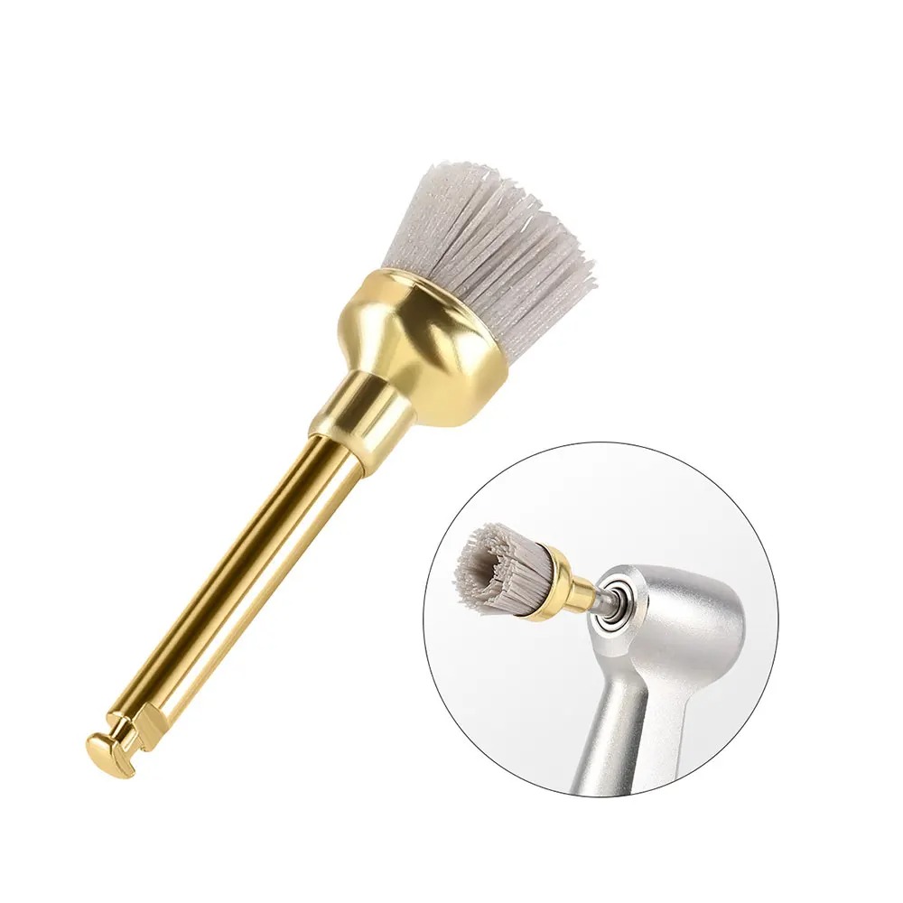 Dental Polishing Brush