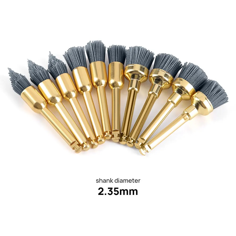 Dental Polishing Brush