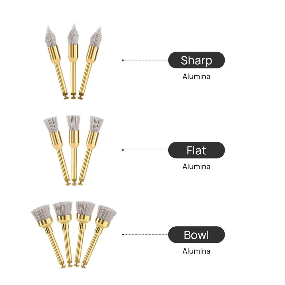 Dental Polishing Brush