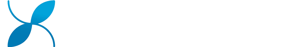 描述