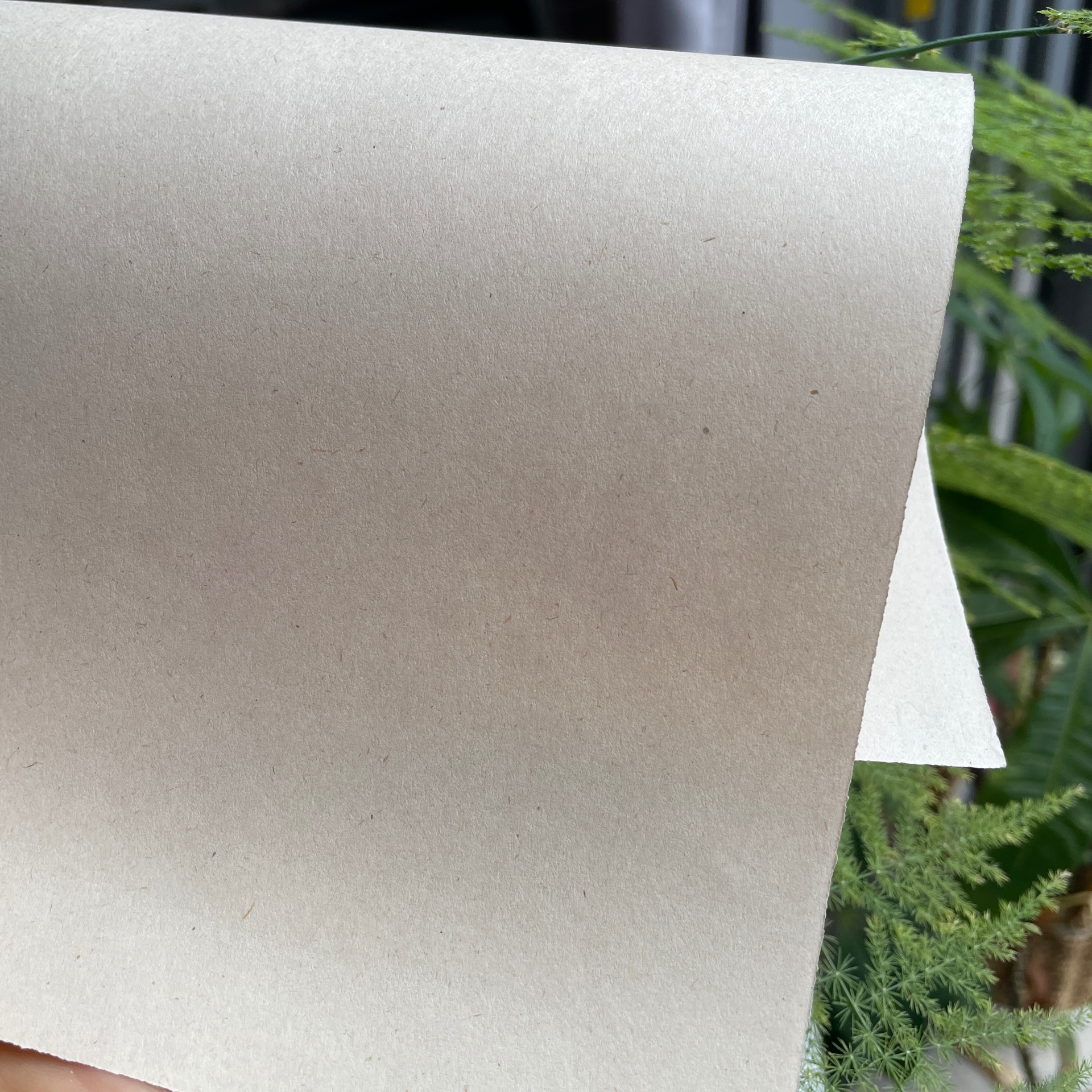 Sugarcane Environmental Printing Paper