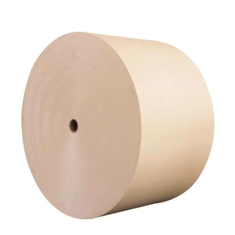 Sustainable Sugarcane Bagasse Packaging Paper and Board